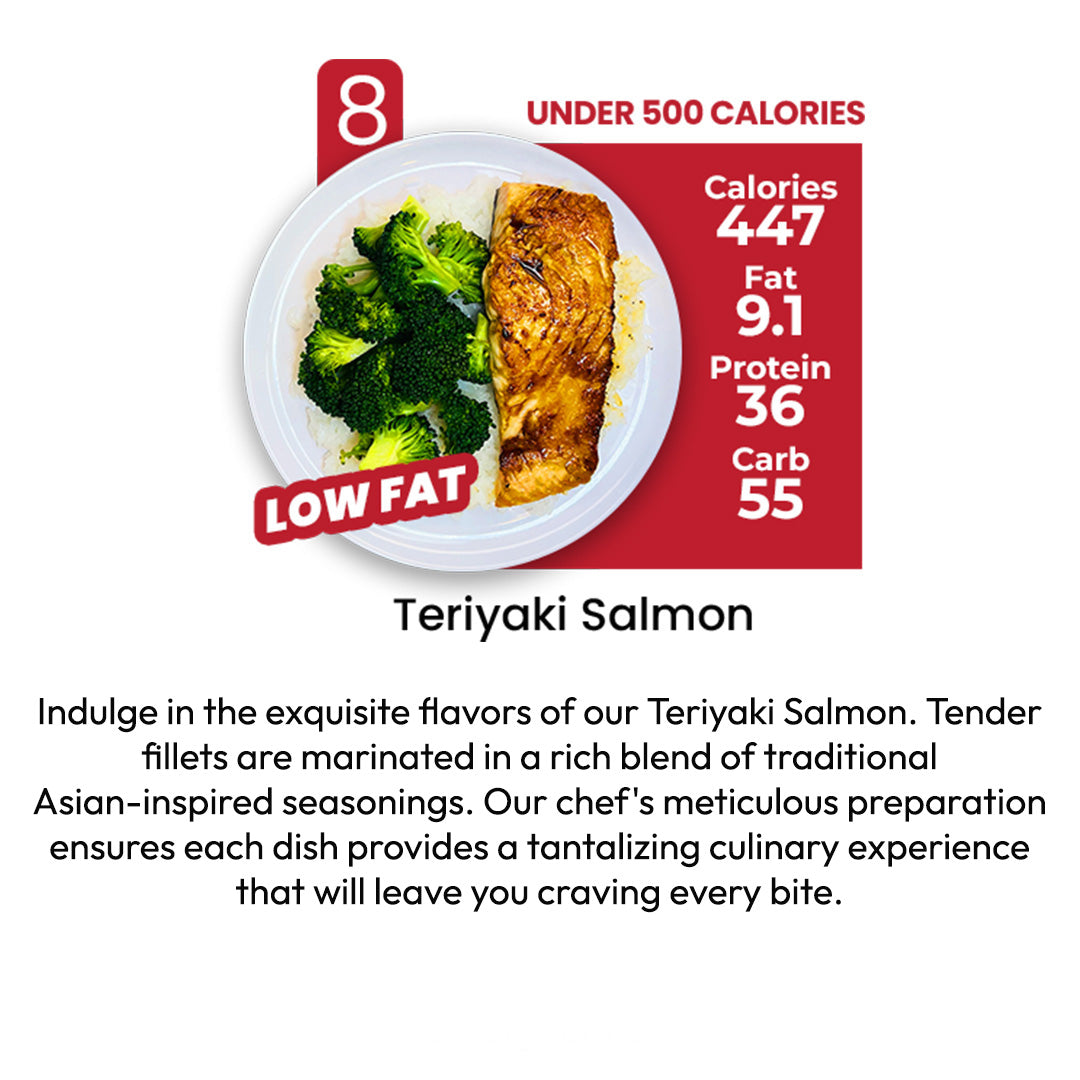 DIET PLAN - 10 MEALS PLAN